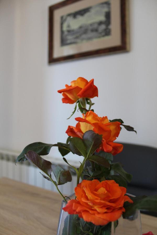 Apartment Dekovic โปเรช ภายนอก รูปภาพ